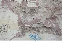 Photo Texture of Damaged Wall Plaster 0013